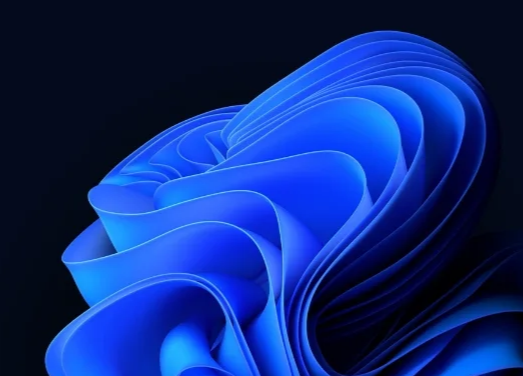 Windows Image